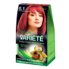 CHANTAL FARBA DO WŁOSÓW VARIÉTÉ 6.1 KARMINOWA CZERWIEŃ   